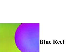 Blue Reef - Dichroic